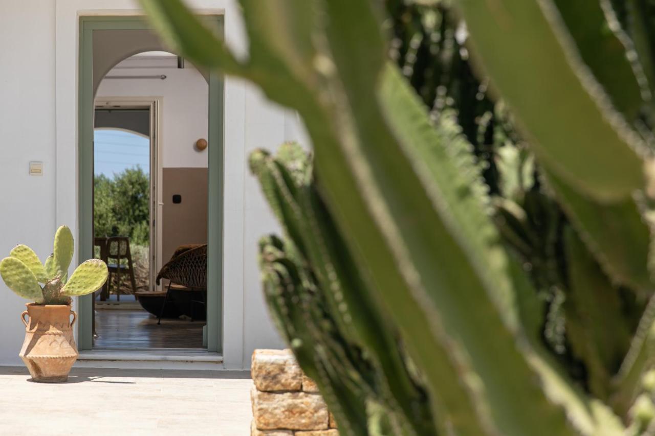 Naxos Euphoria Suites Stelida (Naxos) Exterior foto